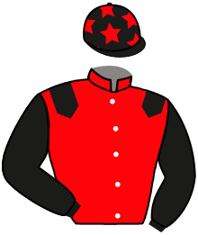casaque portée par Justum M. jockey du cheval de course EFFIRA, information pmu ZETURF