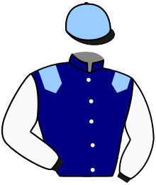 casaque portée par Lebouc Hug. jockey du cheval de course KENNY, information pmu ZETURF