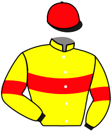 casaque portée par Hardouin E. jockey du cheval de course MAGURO, information pmu ZETURF