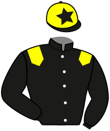 casaque portée par Pouchin A. jockey du cheval de course ARABIE, information pmu ZETURF