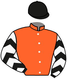 casaque portée par Piccone T. jockey du cheval de course HONEY BADGER, information pmu ZETURF