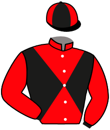 casaque portée par Plommee Léo. jockey du cheval de course LISEO, information pmu ZETURF