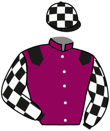 casaque portée par Lecoeuvre C. jockey du cheval de course HADEWIN, information pmu ZETURF