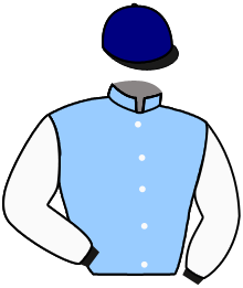 casaque portée par Lemaitre A. jockey du cheval de course LETTYT FIGHT, information pmu ZETURF