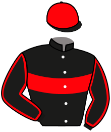 casaque portée par Piccone T. jockey du cheval de course DIAMOND ALEXANDER, information pmu ZETURF