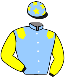 casaque portée par Baron Axe. jockey du cheval de course GAILLARD, information pmu ZETURF