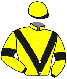 casaque portée par Boisseau L. jockey du cheval de course MARILLAWOOD, information pmu ZETURF
