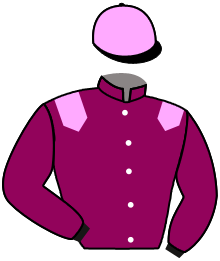 casaque portée par Lefebvre F. jockey du cheval de course IPPLING, information pmu ZETURF