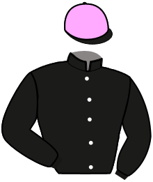 casaque portée par Ouvrie F. jockey du cheval de course LADY DUCALE, information pmu ZETURF