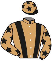 casaque portée par Legros M. jockey du cheval de course LYRA DU METZ, information pmu ZETURF