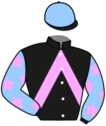 casaque portée par Lamy A. jockey du cheval de course LE JIBAY, information pmu ZETURF