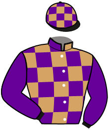 casaque portée par Martin G. jockey du cheval de course LUCIFER D'ORPHEE, information pmu ZETURF