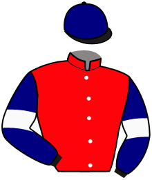 casaque portée par Ploquin Pau. Ph. jockey du cheval de course LORD CATH, information pmu ZETURF