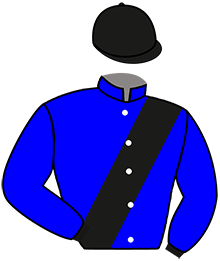 casaque portée par Raffin E. jockey du cheval de course HORCHESTRO, information pmu ZETURF