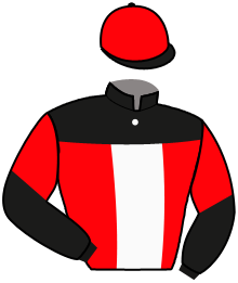 casaque portée par Bakker R. jockey du cheval de course FRAGOLINO ROSSO, information pmu ZETURF