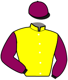 casaque portée par Loccisano E. jockey du cheval de course GIULIA PLAY, information pmu ZETURF