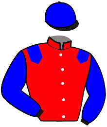 casaque portée par Masschaele Ph. jockey du cheval de course ISSIA DE CHARLY, information pmu ZETURF