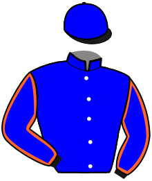 casaque portée par Gelormini G. jockey du cheval de course EVERY TIME WINNER, information pmu ZETURF