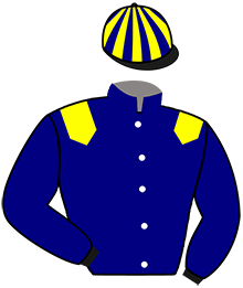 casaque portée par Prat Ale. jockey du cheval de course KAPTAIN DU LIAMONE, information pmu ZETURF