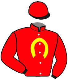 casaque portée par Martin G. jockey du cheval de course LOVISSIME, information pmu ZETURF