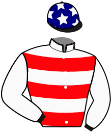 casaque portée par Gelormini G. jockey du cheval de course GALINETTE BLEUE, information pmu ZETURF