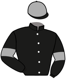 casaque portée par Saussaye V. jockey du cheval de course HURLEVENT, information pmu ZETURF