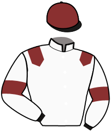 casaque portée par Terry C. jockey du cheval de course IBIS QUICK, information pmu ZETURF