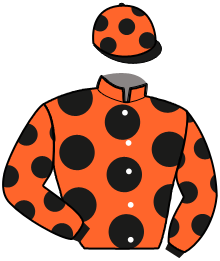 casaque portée par Chauve-laffay Q. jockey du cheval de course GATSBY WIC, information pmu ZETURF