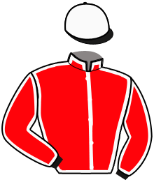 casaque portée par Lalande L. jockey du cheval de course LUIGI PAN, information pmu ZETURF