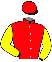casaque portée par Peltier S. jockey du cheval de course J'Y CROIS, information pmu ZETURF