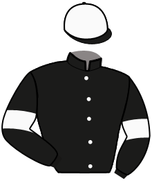 casaque portée par Bazire J. M. jockey du cheval de course JASMIN DU PERRE, information pmu ZETURF