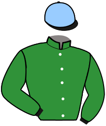 casaque portée par Marie M. P. jockey du cheval de course JEWEL JIEL, information pmu ZETURF
