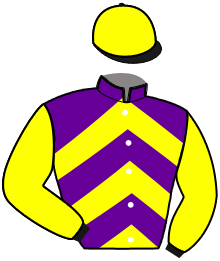 casaque portée par Gauvin M. jockey du cheval de course KING DE JOUDES, information pmu ZETURF