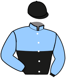 casaque portée par Dujmic M. jockey du cheval de course KOOL DES LINANS, information pmu ZETURF
