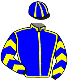casaque portée par Hardy S. jockey du cheval de course KIANA OASIS, information pmu ZETURF