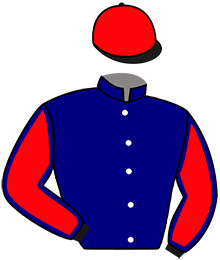 casaque portée par Tintillier A. jockey du cheval de course KANELLE LA RAVELLE, information pmu ZETURF