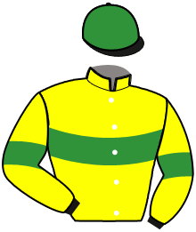 casaque portée par Lerenard A. jockey du cheval de course MARIUS DE FEUGERES, information pmu ZETURF