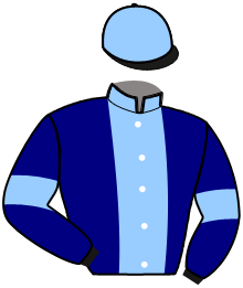 casaque portée par Bridault M. jockey du cheval de course IROKO DU NORD, information pmu ZETURF