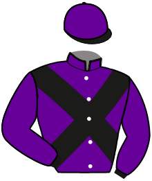 casaque portée par Daulier A. jockey du cheval de course IRONIE DES BROUETS, information pmu ZETURF