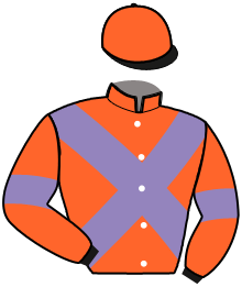 casaque portée par Koubiche Jér. jockey du cheval de course MAJOR DU BISTON, information pmu ZETURF