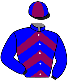 casaque portée par Garandeau A. jockey du cheval de course LUIGI SALICE, information pmu ZETURF