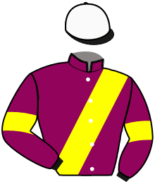 casaque portée par Van Den Putte Jr J. jockey du cheval de course L'ORIGINAL, information pmu ZETURF