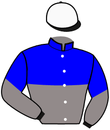casaque portée par Huygens M. jockey du cheval de course KINGA DE KARMEL, information pmu ZETURF