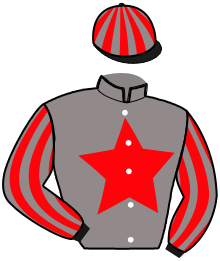 casaque portée par Verva M. jockey du cheval de course INES DES FORETS, information pmu ZETURF