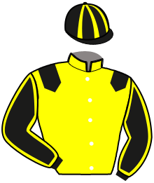 casaque portée par Vanmeerbeck J. jockey du cheval de course IDEAL MOSSA, information pmu ZETURF