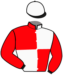 casaque portée par Chaineux Jea. M. jockey du cheval de course HAPPY ATOUT, information pmu ZETURF