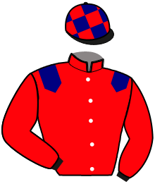 casaque portée par Viaud Tho. jockey du cheval de course GAUDEO, information pmu ZETURF