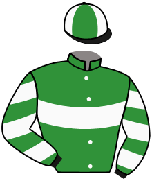 casaque portée par Guyon M. jockey du cheval de course TOYOTOMI, information pmu ZETURF