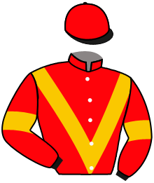 casaque portée par Velon Mlle M. jockey du cheval de course STUPOR MUNDI, information pmu ZETURF