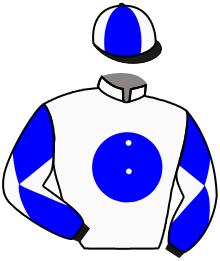 casaque portée par Bachelot T. jockey du cheval de course SECRET WOOD, information pmu ZETURF